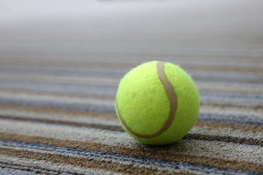 tennis ball on the carpet