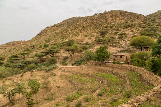 The steep mountains of Hararge region with acacia trees growing sparsely, Oromia Region, Ethiopia