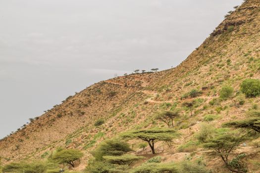 The steep mountains of Hararge region with acacia trees growing sparsely, Oromia Region, Ethiopia