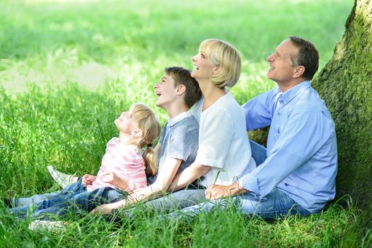 Family of four sitting under tree and looking up