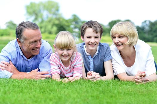 Fun filled family of four relaxing in park