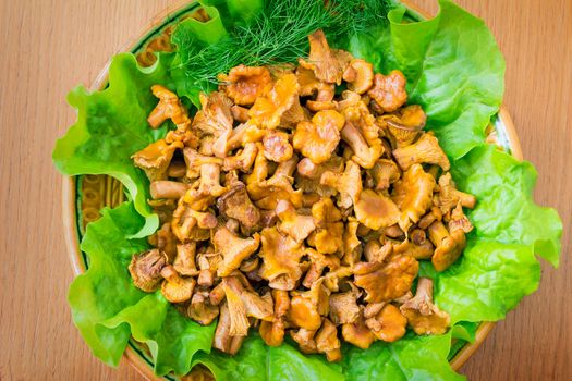 Dish with lettuce leaves on which appetizing fried chanterelles are located, are photographed by a close up