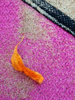 Background with leaf and beach sand, close up