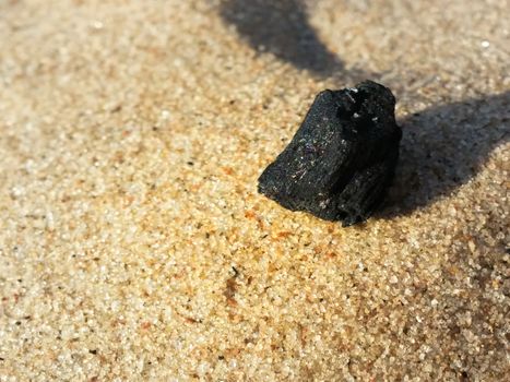 Burned Log on Sand Baltic Beach coal