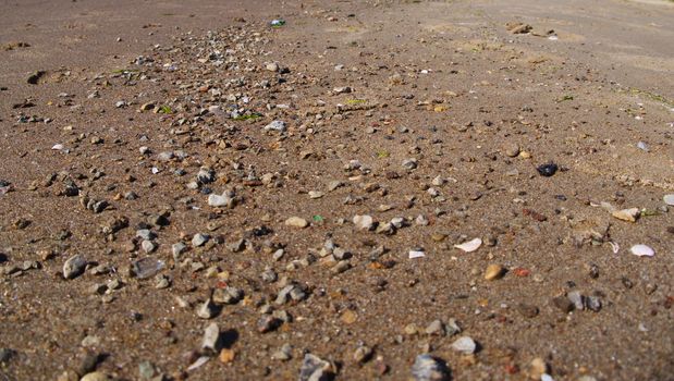 Baltic Beach sand close up, small stones