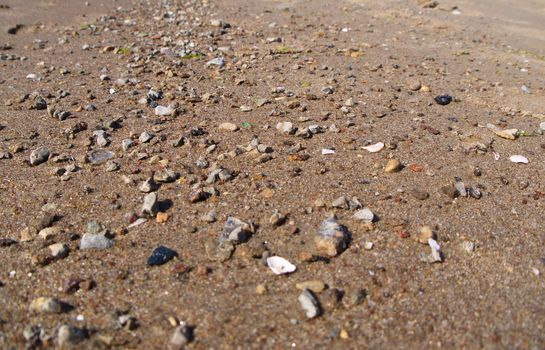 Baltic Beach sand close up, small stones