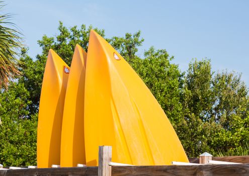 Three yellow prows of canoes or kayak in rack with trees and blue sky behind the boats