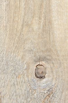 Wood Knot and Grain for background
