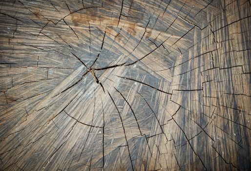 Old Wood Grain Cracks Texture for background