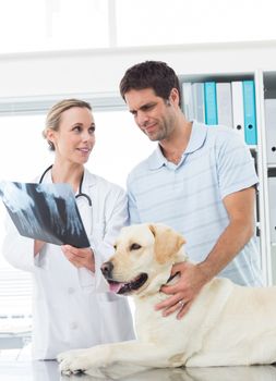 Female vet showing Xray of dog to pet owner in clinic