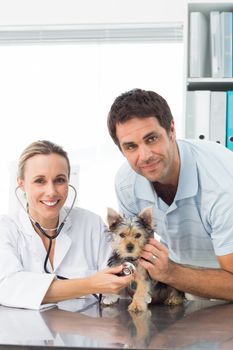 Portrait of female veterinarian examining puppy with man in clinic