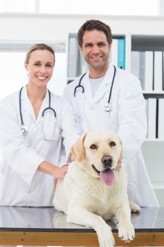 Portrait of confident vets examining dog in clinic