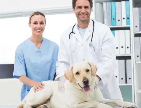 Portrait of confidence veterinarians with dog in clinic