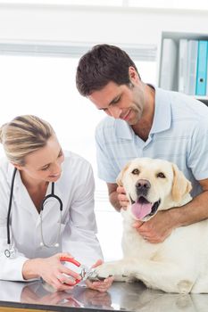 Owner with dog getting claws trimmed by female vet in clinic