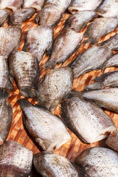 drying snakeskin gourami fishes on bamboo tray