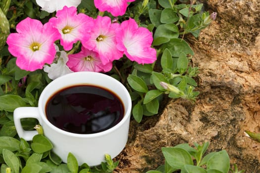 cup of coffee,pink petunia flowers