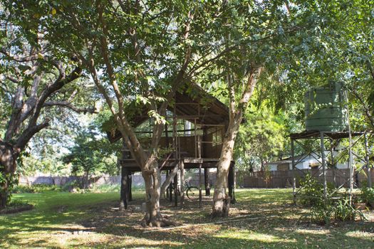 camping hut in the African savannah