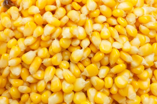 closeup boiled corn for background