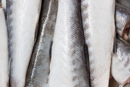 Fresh Raw Barracuda Fish Texture
