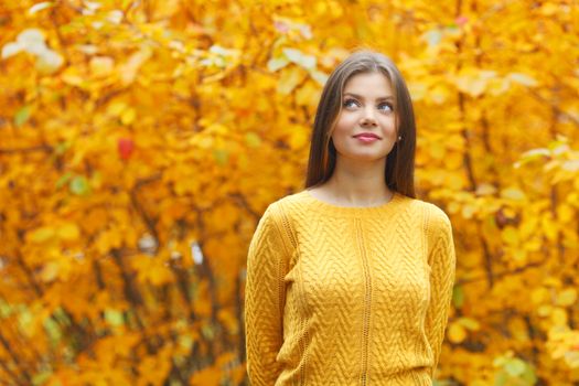 Portrait of a beautiful young woman over autumn tree background