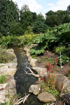 A peaceful oasis in botanical garden on a late summer day