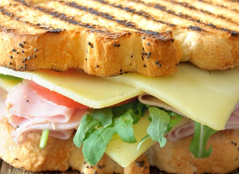 Grilled sandwich with ham and cheese 