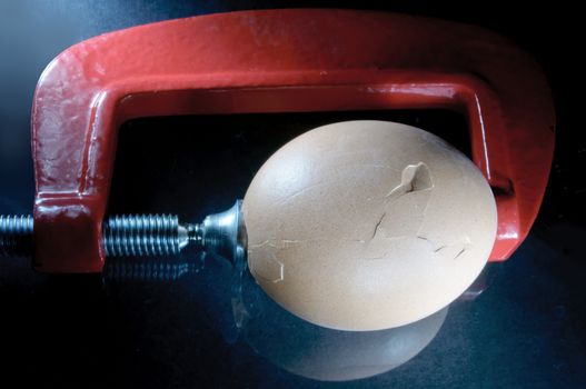 Egg being squeezed with a clamp