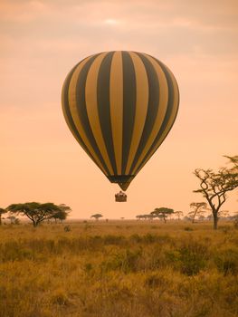 Hot air balloon landing in african savannah