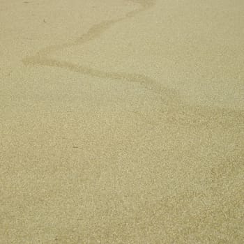 Sand beach at low tides