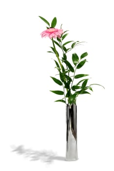 Pink gerbera in modern metal vase, isolated on white
