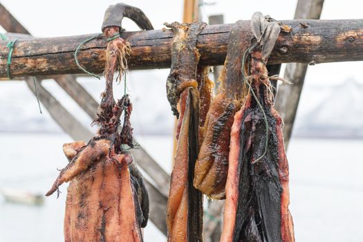 Seal bodies drying on wooden rack in Kangerluk, Greenland