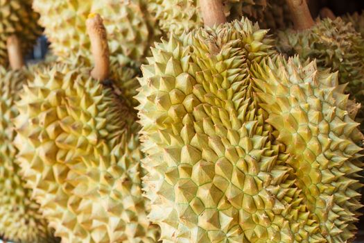 Close up durian fruit at market