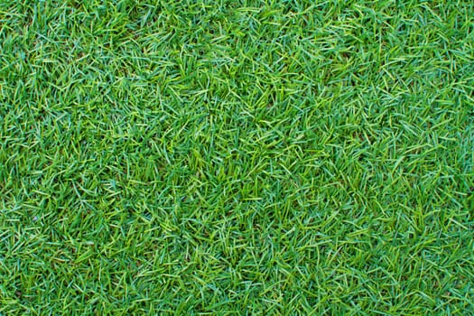 Grass green color.