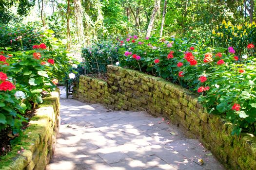 Flowerbeds in a peaceful Bhubing palace garden,Thailand.