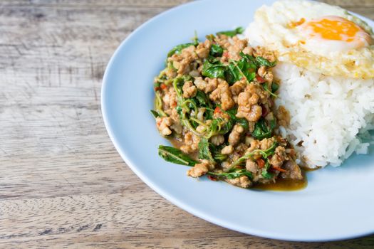 Stir-fried minced pork with holy basil and steamed rice (Thai food)