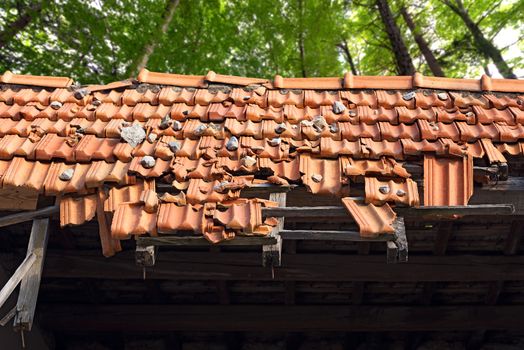 Detail of a damaged and abandoned roof with broken tiles and beams