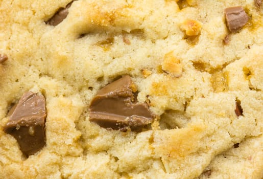 Close up chocolate chip cookie background