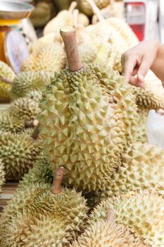 Durian fruit at thai market