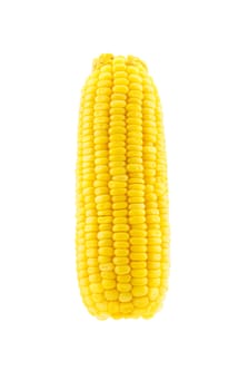 Boiled sweet corn isolated on the white background
