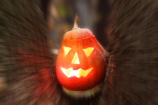 Pumpkin face for halloween in the dark forest