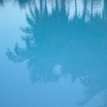 Palm tree reflection in a blue pool