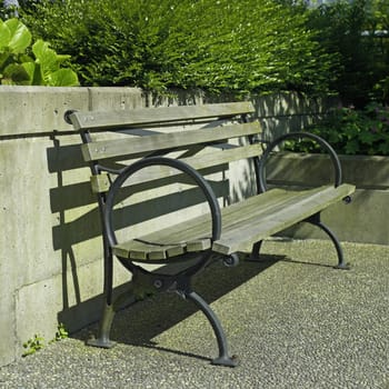 Wooden park bench in a garden