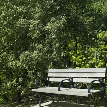 Wooden park bench in a garden