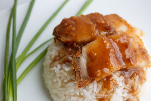 Crispy pork with rice Close up and vegetable