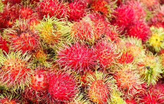 Rambutan - Tropical Fruits Rambutan