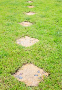 flower Pattern on Stone path into the green grass garden