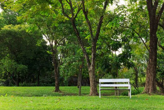 white old bench  in green park in the summer