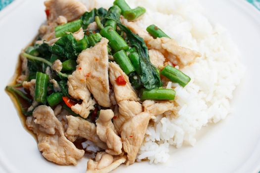 chicken fried in holy basil with yardlong bean on steamed rice (Thai food)