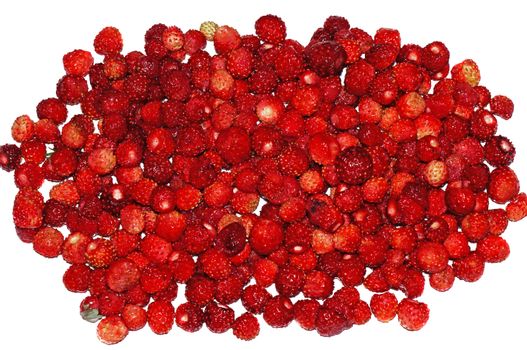 Juicy Wild strawberry heap on white background                               