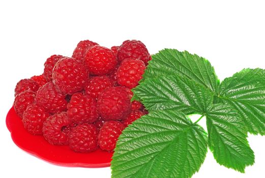 Ripe raspberries decorated with green leaf in a small platter                               